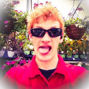 Meet your Posher, Wolf